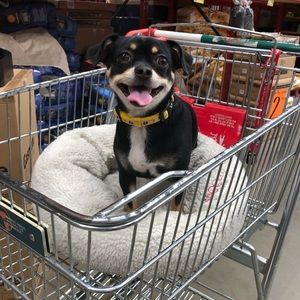 Meet your Posher, Fiona